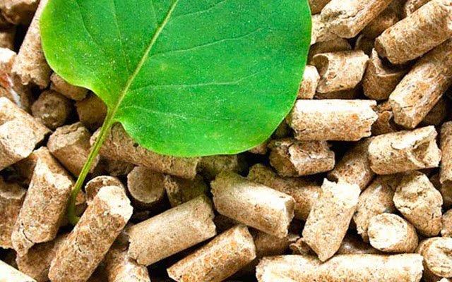 The Impact Of Trade War On Pellet Materie prime-3