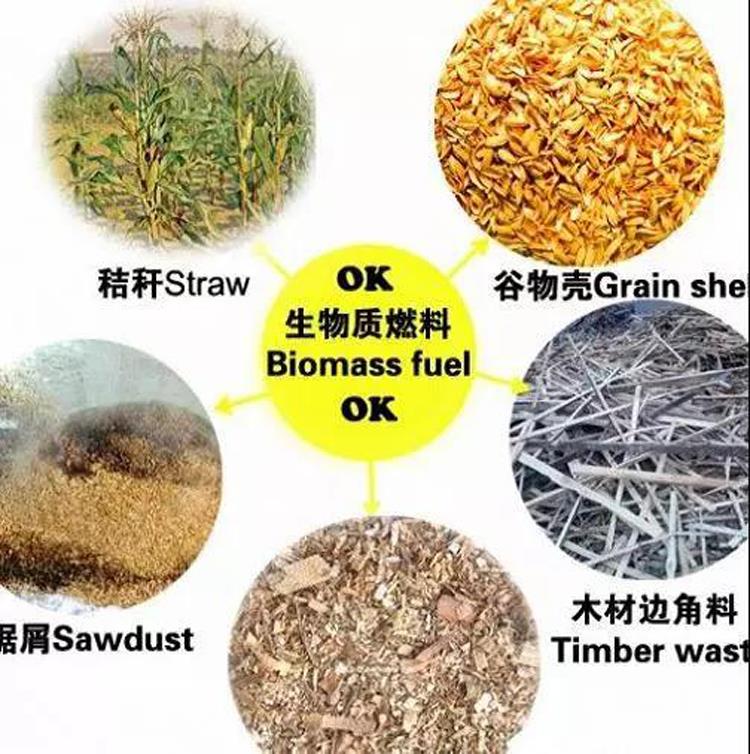 Avete le idee sbagliate sui combustibili da biomassa?